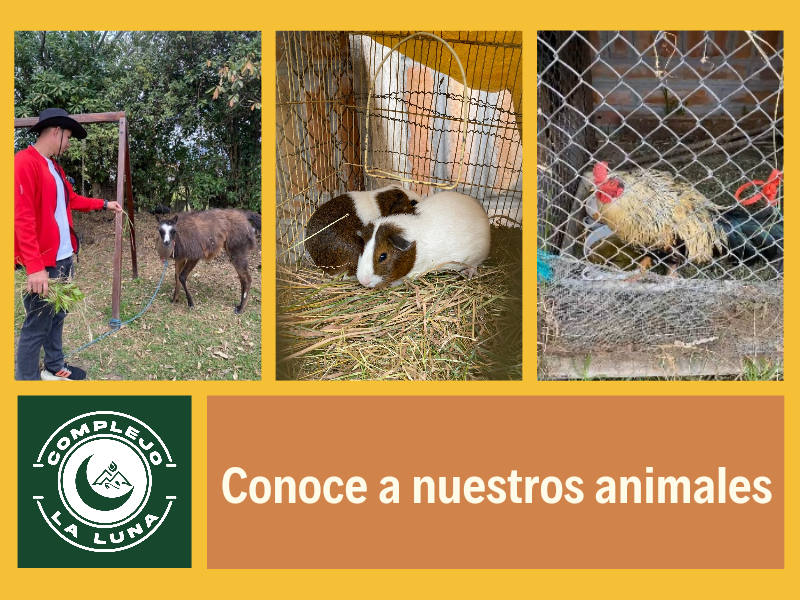 Actividad 2